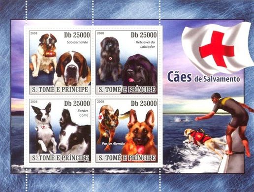 Рятувальні собаки