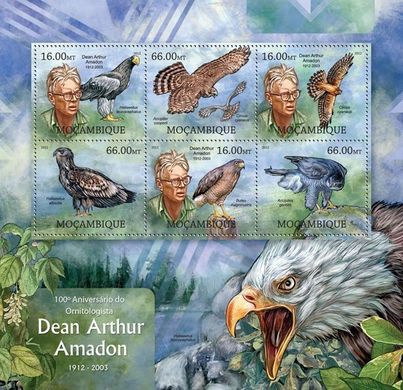 Bird watcher Dean Arthur Amadon. Birds