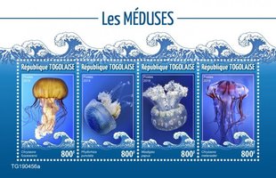 Медузи