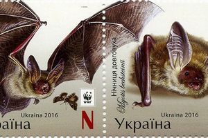 Летучие мыши, которые рискуют остаться только на почтовых марках