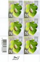 2013 N VIII Definitive Issue 2-3624 (m-t 2013) 6 stamp block RB with perf.