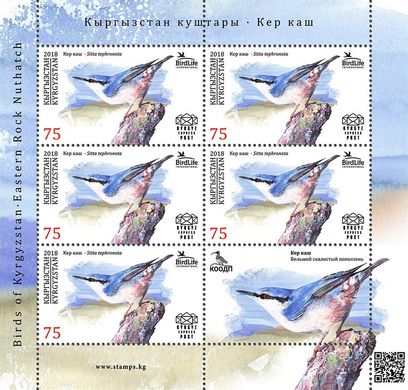 Птицы Кыргызстана