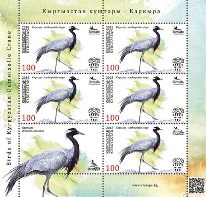 Птахи Киргизстану