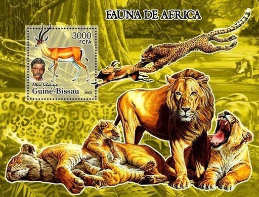 Фауна Африки и Альберт Швейцер