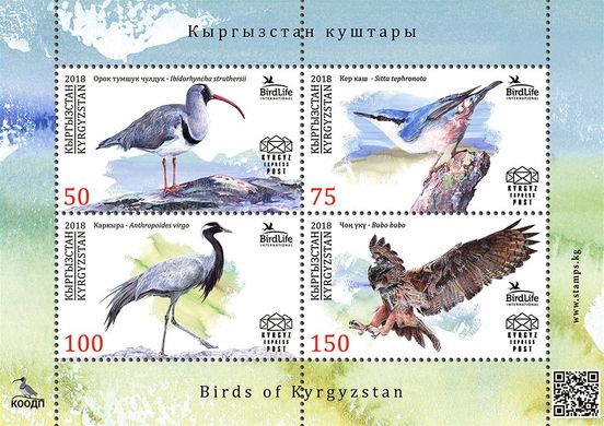 Птицы Кыргызстана