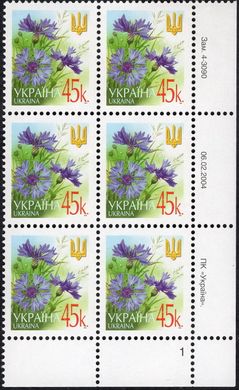 2004 0,45 VI Definitive Issue 4-3090 (m-t 2004) 6 stamp block RB1