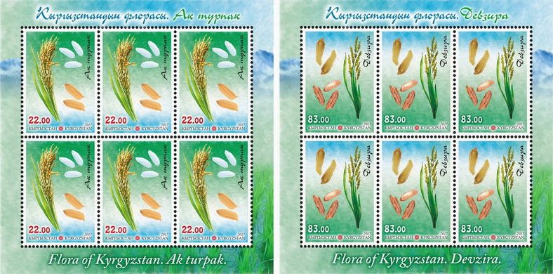 Flora Rice varieties