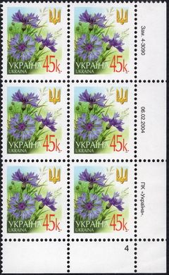 2004 0,45 VI Definitive Issue 4-3090 (m-t 2004) 6 stamp block RB4