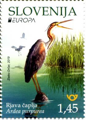EUROPA Птахи