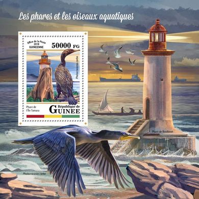 Lighthouses and aquatic birds
