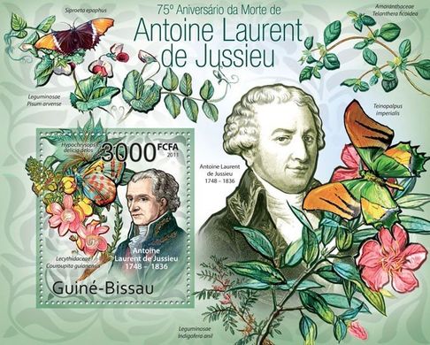 Botanist Antoine Laurent de Jussieu