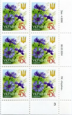 2004 0,45 VI Definitive Issue 4-3090 (m-t 2004) 6 stamp block RB3
