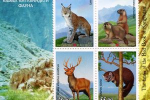 Животные, которых нужно беречь - Киргизия выпустила марки "Фауна. Красная книга"