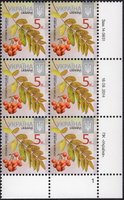 2014 0,05 VIII Definitive Issue 14-3631 (m-t 2014-ІІ) 6 stamp block RB1