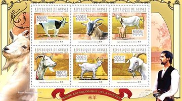 Goat astrological sign