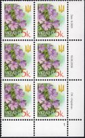 2006 0,05 VI Definitive Issue 6-3631 (m-t 2006) 6 stamp block RB1