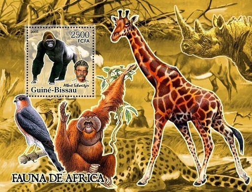 Фауна Африки і Aльберт Швейцер