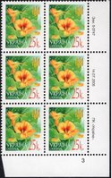 2005 0,25 VI Definitive Issue 5-3747 (m-t 2005) 6 stamp block RB3