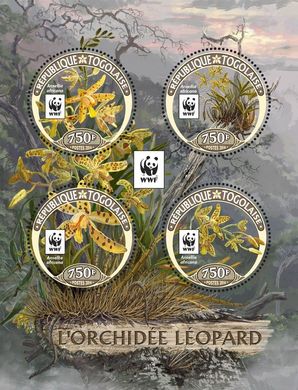 WWF Orchids