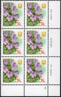 2005 0,05 VI Definitive Issue 5-3228 (m-t 2005) 6 stamp block RB2