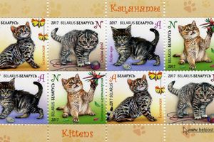 Отдам котенка в хорошие руки! «Белпочта» выпустила самые милые почтовые марки