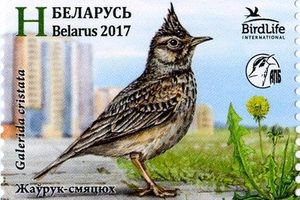 Почтовая марка «Птица года Жаворонок» уже в обращении!