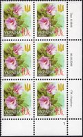 2006 0,10 VI Definitive Issue 6-3848 (m-t 2006) 6 stamp block RB1