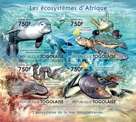 Ecosystem of the Mediterranean Sea