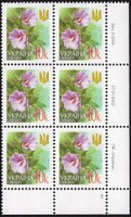 2003 0,10 VI Definitive Issue 3-3034 (m-t 2003) 6 stamp block RB1