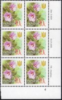 2005 0,10 VI Definitive Issue 5-3001 (m-t 2005) 6 stamp block RB4