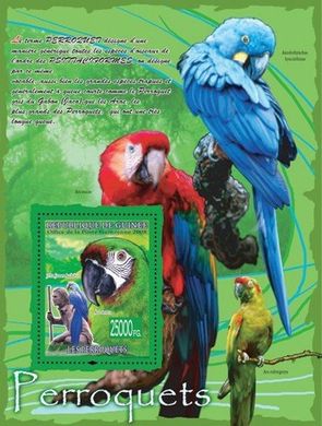 Parrots and John James Audubon