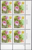 2005 0,10 VI Definitive Issue 5-3229 (m-t 2005) 6 stamp block RB1