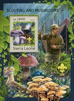 Scouts and fungi