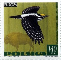 EUROPA Woodpecker