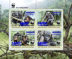 WWF Надпечатка Обезьяны