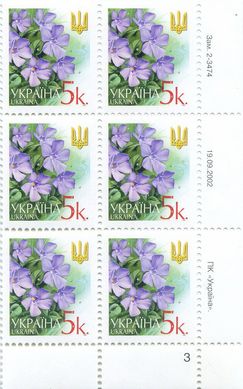 2002 0,05 VI Definitive Issue 2-3474 (m-t 2002) 6 stamp block RB3