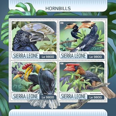 Hornbills