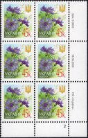 2005 0,45 VI Definitive Issue 5-3603 (m-t 2005) 6 stamp block RB2