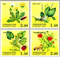 Растения и насекомые