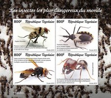 Most dangerous insects in the world
