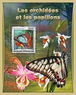 Orchids and butterflies