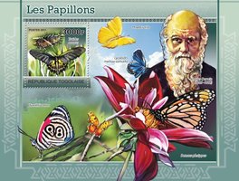 Butterflies. Charles Darwin