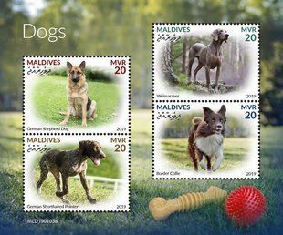 Dogs