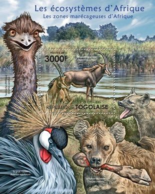Fauna of the wetlands of Africa