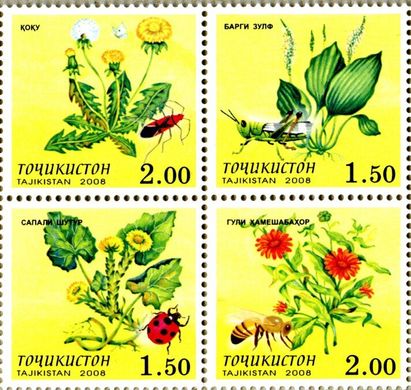 Plants and insects