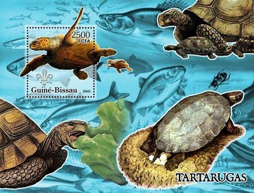 Черепахи и логотип скаутов. Рыбы