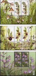 Orchids