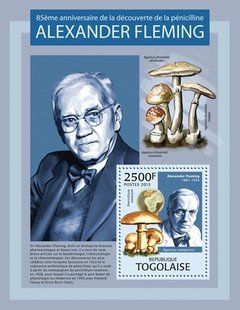 Bacteriologist Alexander Fleming