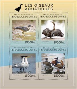 Aquatic birds