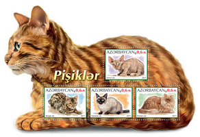 Own stamp. Cats